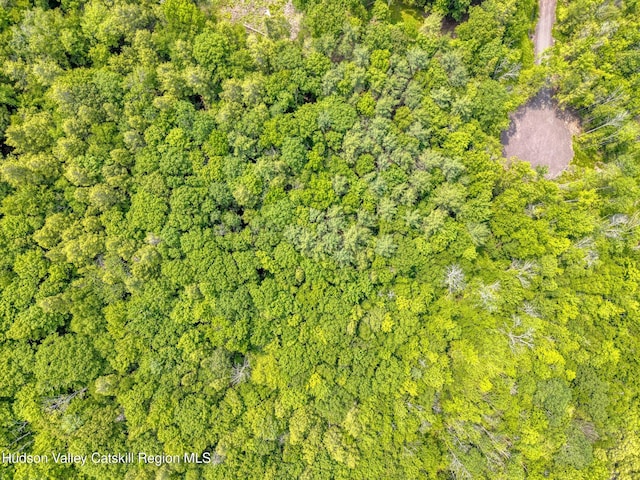 TBD Boulder Brook Rd Lot B13, Windham, NY 12496