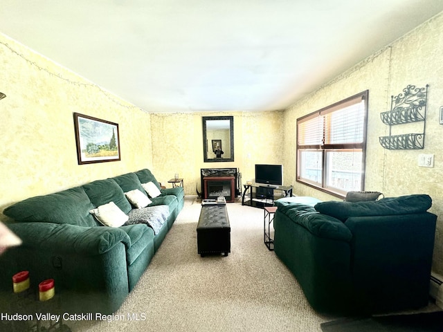 living room featuring carpet