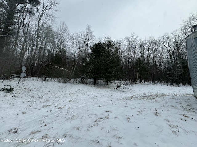 view of yard layered in snow