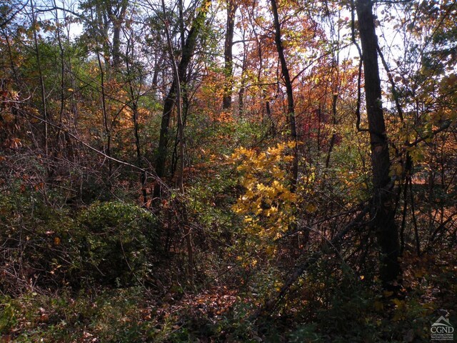 0 Famous Author Cir, Coxsackie, NY 12051 - photo 6