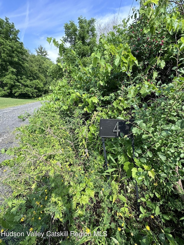TBD Creek Rd, Catskill, NY 12414