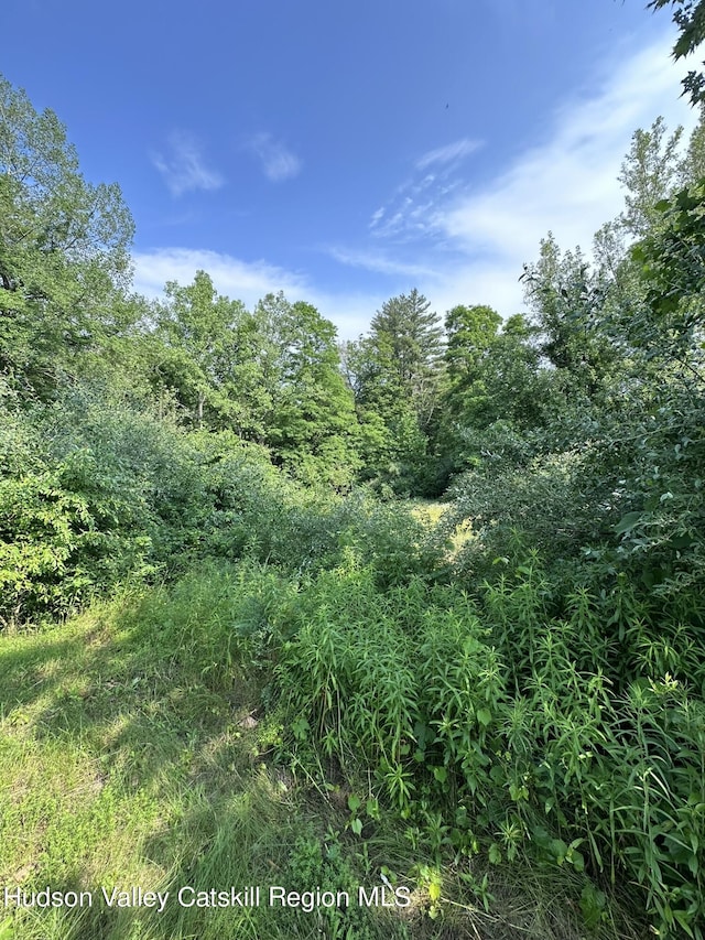 TBD Creek Rd, Catskill, NY 12414