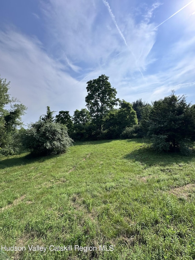 TBD Creek Rd, Catskill, NY 12414