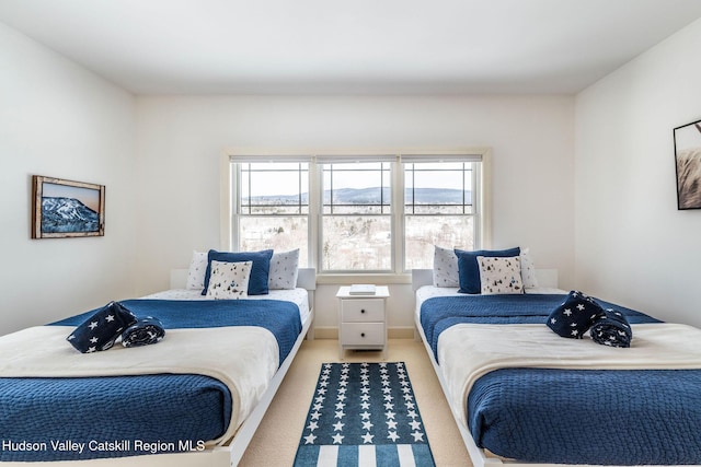 bedroom with light carpet