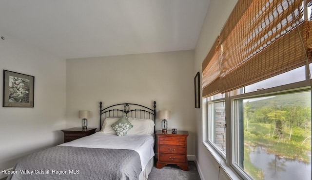 6 Trailside Dr Unit A8, Hunter, NY 12442 - bedroom with carpet flooring and baseboards