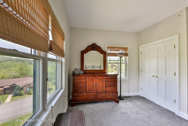 6 Trailside Dr Unit A8, Hunter, NY 12442 - bedroom featuring multiple windows and carpet flooring