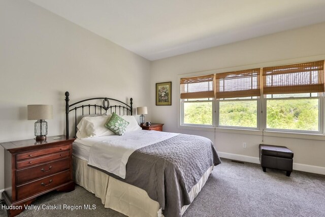 6 Trailside Dr Unit A8, Hunter, NY 12442 - bedroom with dark colored carpet