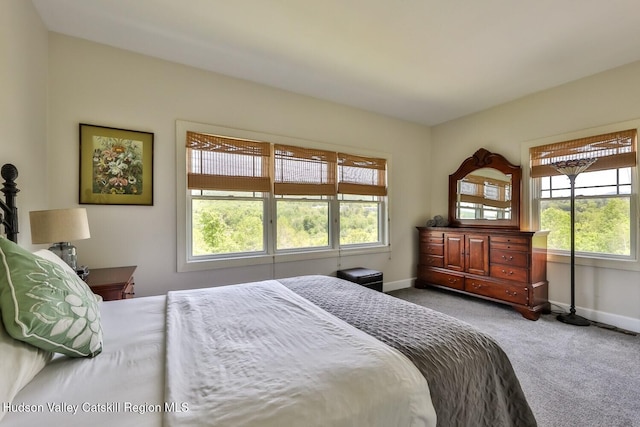 6 Trailside Dr Unit A8, Hunter, NY 12442 - bedroom with carpet flooring and baseboards
