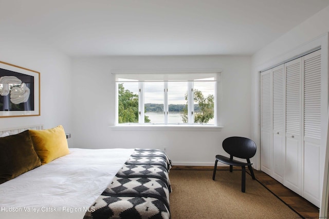 bedroom featuring a closet