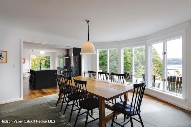 dining room with plenty of natural light and hardwood / wood-style flooring