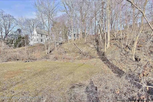 49 Park St, Kingston, NY 12401 - photo 4