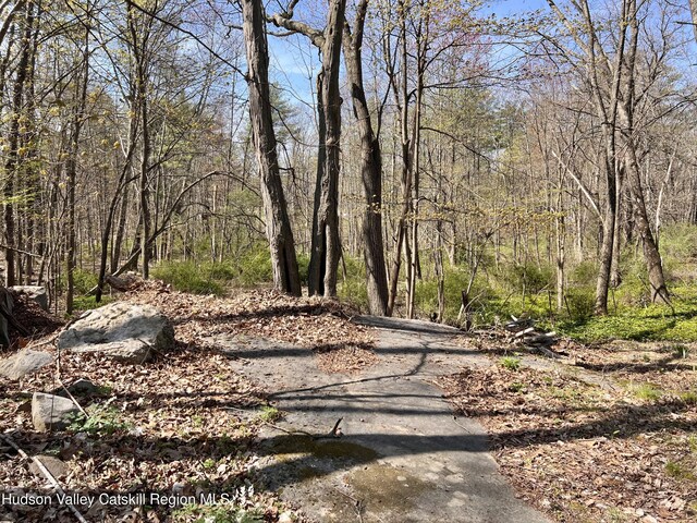 view of road with a wooded view