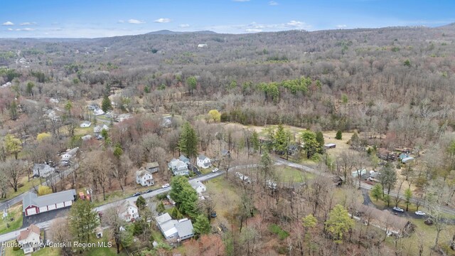 drone / aerial view with a view of trees and a mountain view