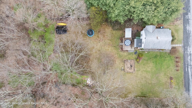 drone / aerial view
