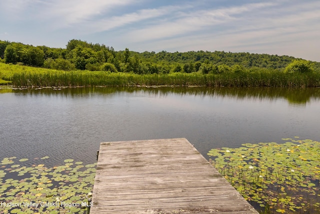 3721 Ridge Rd, Hamden, NY 13782 - dock with a water view and a forest view