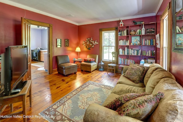 3721 Ridge Rd, Hamden, NY 13782 - living area with wood-type flooring and ornamental molding