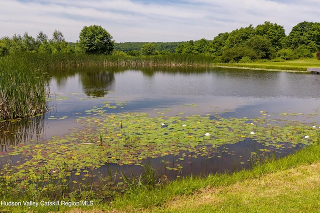 3721 Ridge Rd, Hamden, NY 13782 - water view featuring a heavily wooded area