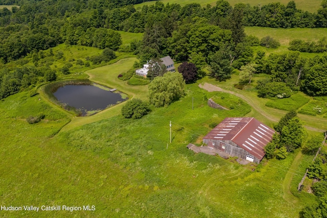 3721 Ridge Rd, Hamden, NY 13782 - bird's eye view of a large body of water