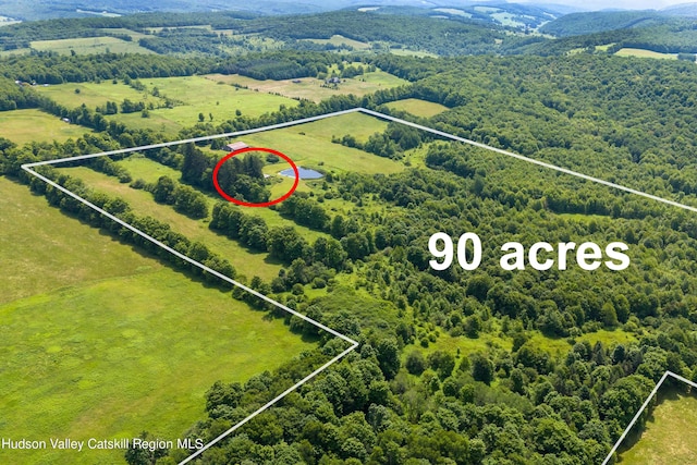 3721 Ridge Rd, Hamden, NY 13782 - aerial view of property and surrounding area featuring property boundaries highlighted and a heavily wooded area
