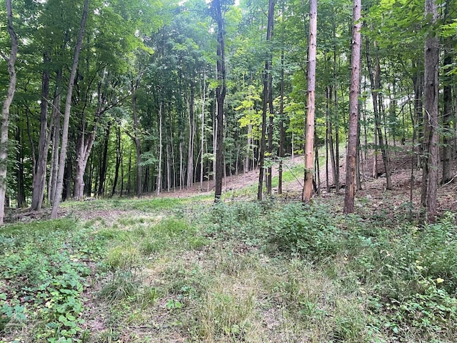 400 Pitts Rd, Chatham, NY 12136