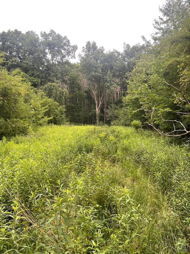 400 Pitts Rd, Chatham, NY 12136