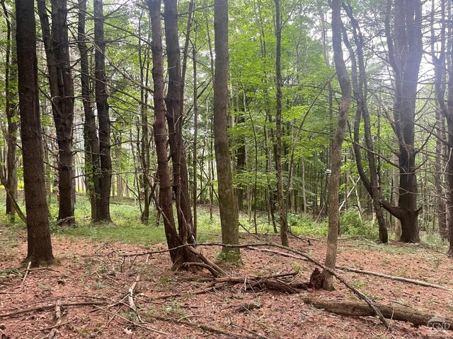 400 Pitts Rd, Chatham, NY 12136