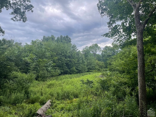 400 Pitts Rd, Chatham, NY 12136
