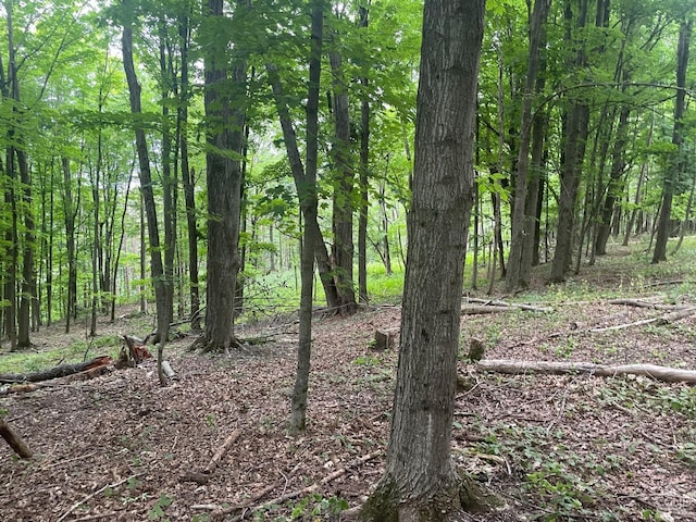 400 Pitts Rd, Chatham, NY 12136
