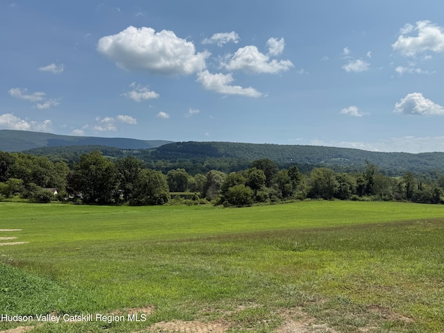 1131 E Ancram Rd, Ancramdale, NY 12503 - photo 5