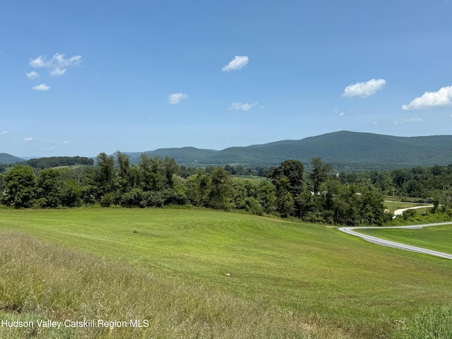 1131 E Ancram Rd, Ancramdale, NY 12503 - photo 2