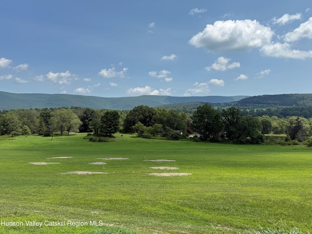 1131 E Ancram Rd, Ancramdale, NY 12503 - photo 4