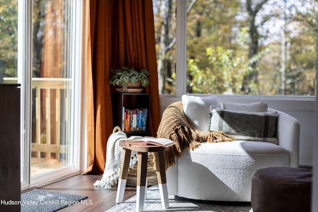 sitting room featuring hardwood / wood-style floors