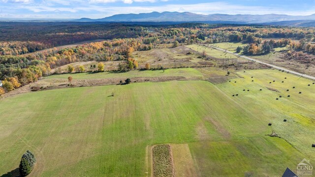 183 Albany Hill Rd, Westerlo, NY 12193