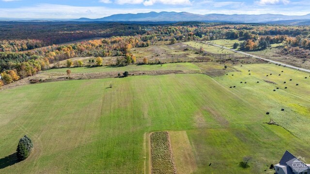 183 Albany Hill Rd, Westerlo, NY 12193