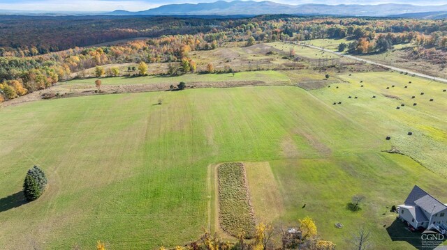 183 Albany Hill Rd, Westerlo, NY 12193