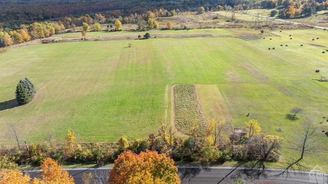 183 Albany Hill Rd, Westerlo, NY 12193