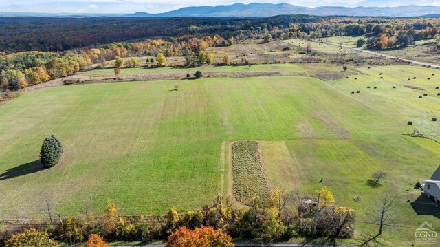 183 Albany Hill Rd, Westerlo, NY 12193