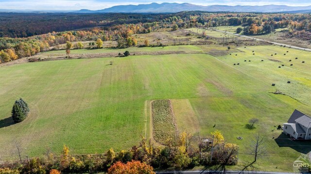 183 Albany Hill Rd, Westerlo, NY 12193