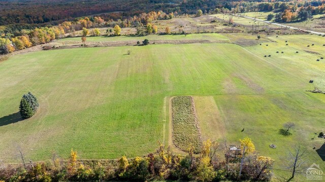 183 Albany Hill Rd, Westerlo, NY 12193