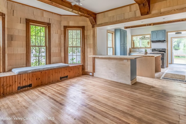 39 Middle St, East Branch, NY 13756 - kitchen featuring electric range, blue cabinets, light wood-type flooring, beam ceiling, and under cabinet range hood