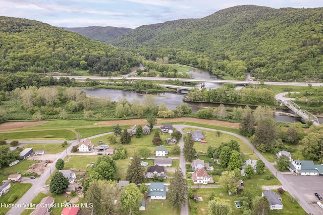 39 Middle St, East Branch, NY 13756 - aerial overview of property's location featuring a water and mountain view, a heavily wooded area, and a notable bridge