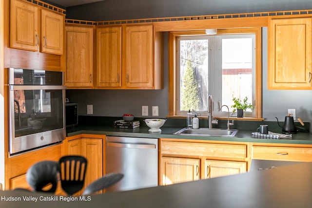 kitchen with sink and appliances with stainless steel finishes