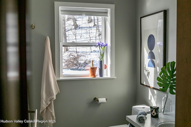 bathroom featuring toilet