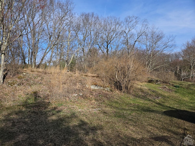 view of local wilderness
