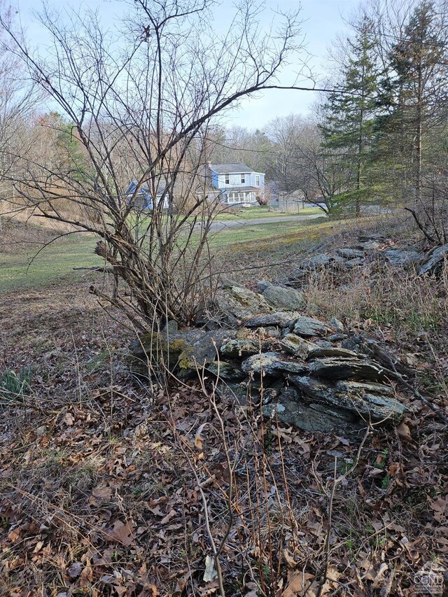 view of local wilderness