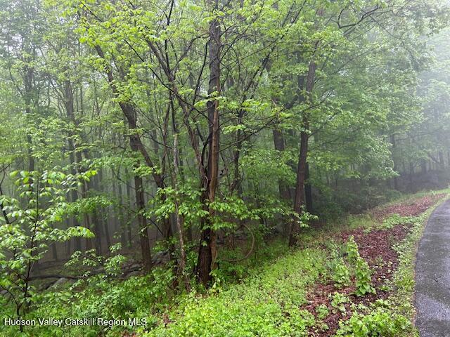 5 Elbow Ln, Highland, NY 12528 - photo 2
