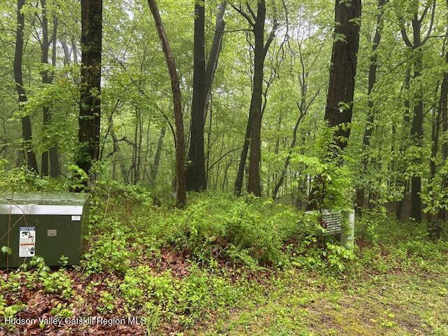 5 Elbow Ln, Highland, NY 12528 - photo 6