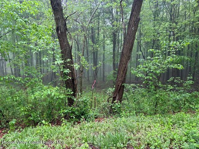 5 Elbow Ln, Highland, NY 12528 - photo 1
