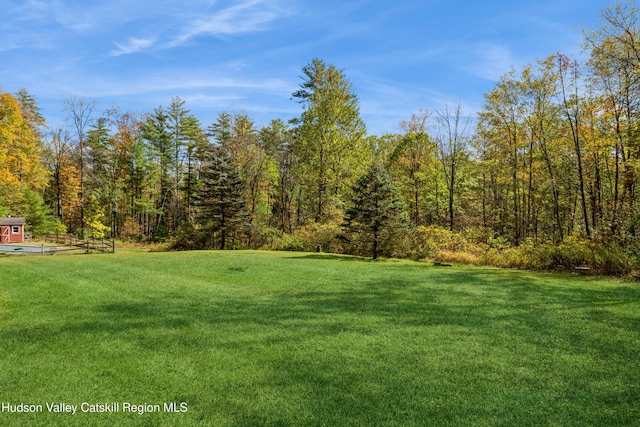 view of yard with a forest view