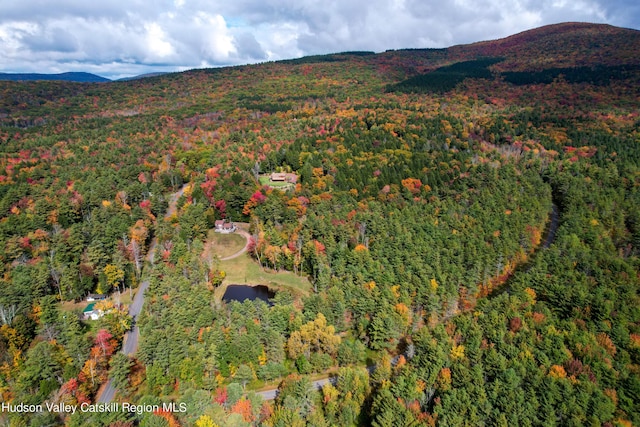 bird's eye view featuring a mountain view